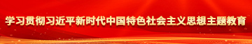 叉屄视频学习贯彻习近平新时代中国特色社会主义思想主题教育